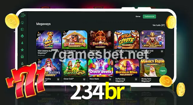 234br aplicativo